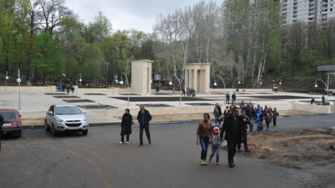 В Воронеже запретят парковку у Центрального парка в ночное время