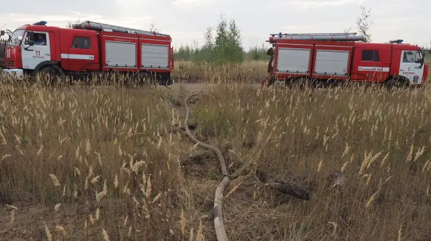 Максимальный уровень пожарной опасности отмечен в 4 районах Воронежской области