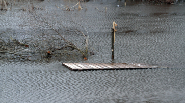 В Воронежской области остаются затопленными 7 низководных мостов