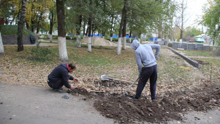 В верхнемамонском селе началось строительство парка культуры и отдыха