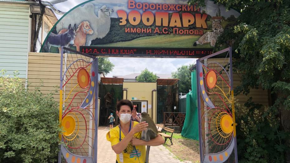 На самоизоляции воронежцы перевели зоопарку 500 тыс рублей