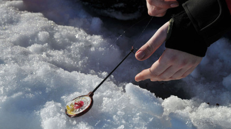 Воронежцев попросили повременить с зимней рыбалкой 