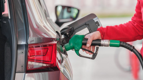 Как изменились цены на бензин в начале августа в Воронежской области