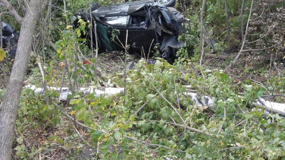 Родные погибшего в ДТП под Воронежем 35-летнего водителя Mitsubishi ищут очевидцев