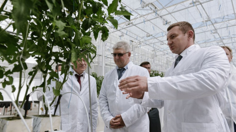 По решению Александра Гусева финансирование органики в Воронежской области увеличили до 80 млн рублей