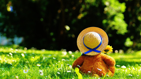 Аналитика ВТБ: большинство родителей потратят детские накопления на образование