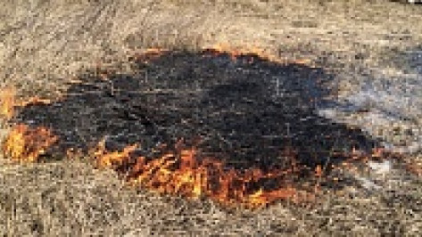 В Рамони злоумышленники подожгли сухую траву, и огонь едва не добрался до «Рамоньрайгаза»