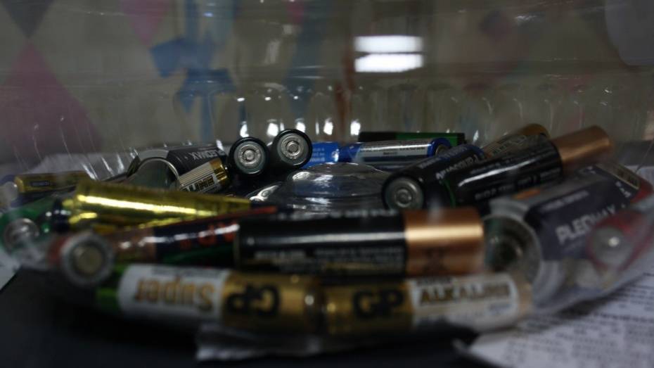 Экологи попросили воронежцев сдать отработанные батарейки и аккумуляторы от сотовых