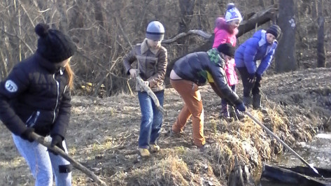 В лискинском селе школьники очистили ручей