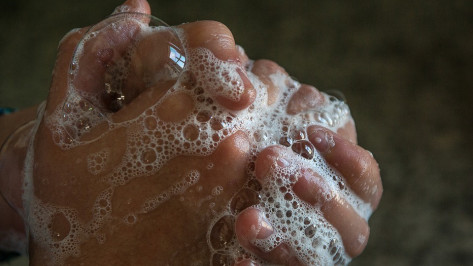 Более половины заразившихся энтеровирусной инфекцией воронежцев не соблюдали гигиену