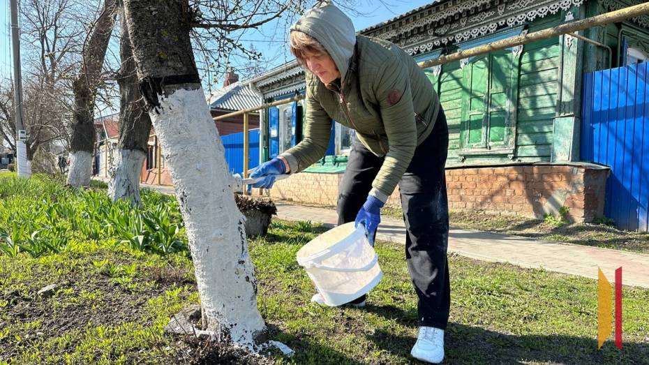 В Бутурлиновке более 5 тыс жителей поучаствовали в субботнике