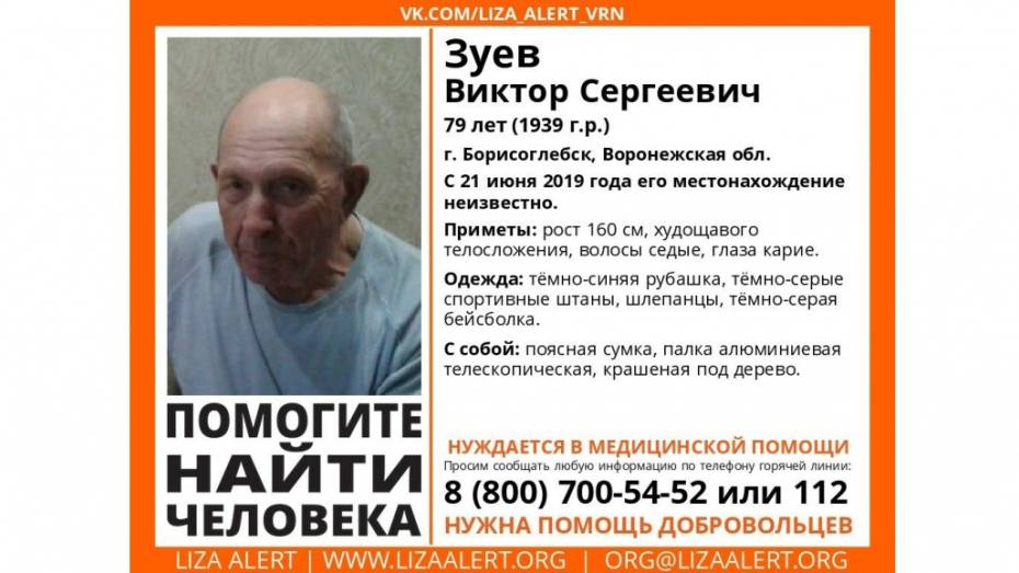 Поисковики попросили помочь вернуть домой пропавшего в Воронежской области дедушку