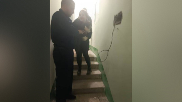 В Воронеже спасли кота, застрявшего в стене дома