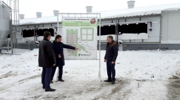 ГК «Агроэко» открыла в Воронежской области свинокомплекс на 43 тыс голов