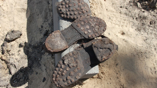 В Бринкманском саду завершились поиски останков немецких солдат (ФОТО)