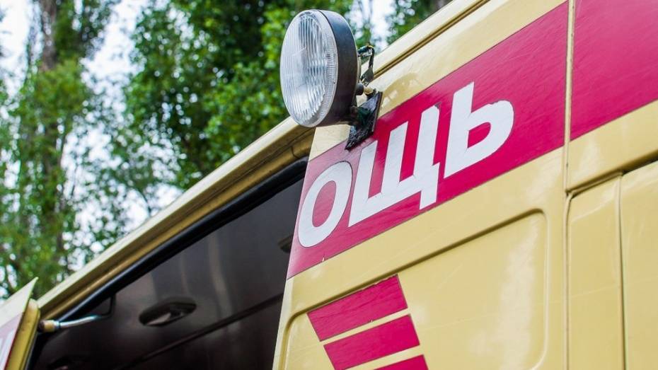 В Кантемировском районе в ДТП пострадали 3 детей и водитель