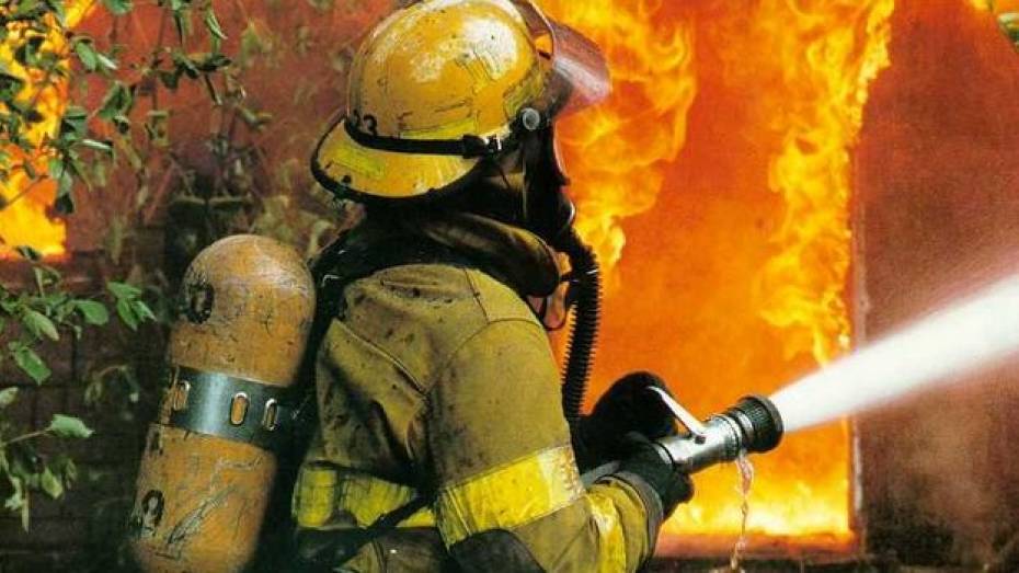 В Павловском районе произошел пожар на деревообрабатывающем предприятии 