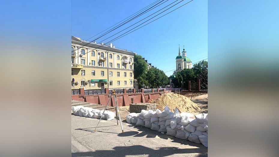 В Воронеже наняли ЧОП для охраны Каменного моста на время ремонта
