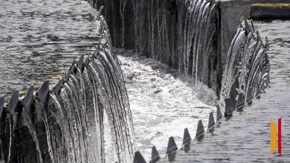 В Павловске Воронежской области определили подрядчика для строительства очистных сооружений
