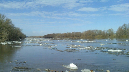 В Острогожском районе вода в Дону поднялась почти на три метра