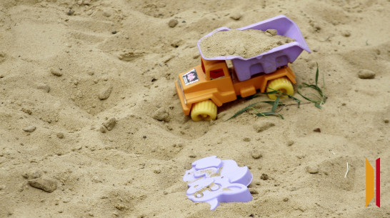 В Воронеже мать морила ребенка голодом, а затем похитила