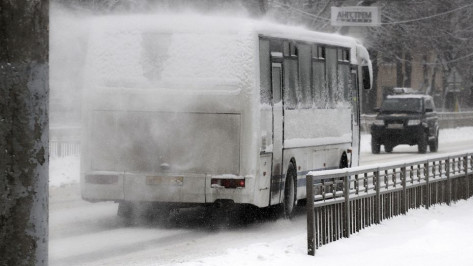 В Воронеже изменили два автобусных маршрута 13 декабря
