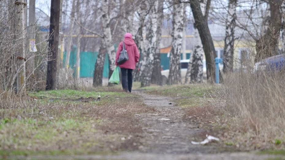 В грибановском селе построят тротуар за 1,8 млн рублей