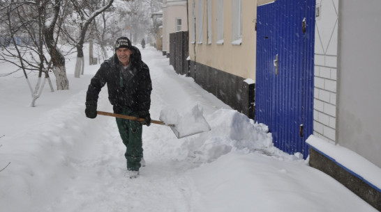 В ночь на воскресенье 28 декабря на Павловск обрушился снегопад 