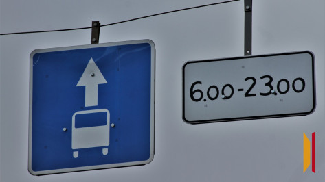 В Воронеже появятся две новые выделенные полосы