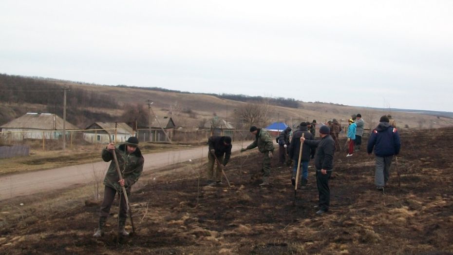 В Богучарском районе начали сажать «Лес Победы»