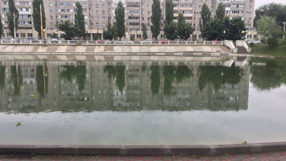 СК установит личность мужчины, чей труп нашли в озере на Минской в Воронеже