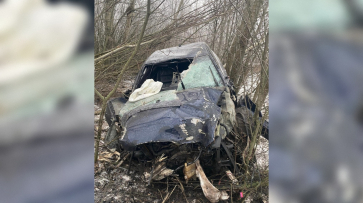 В Воронежской области Audi A6 вылетел в кювет и врезался в деревья: пострадали двое мужчин