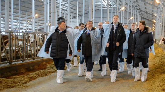 Глава Минсельхоза назвал воронежский опыт «политически важным»