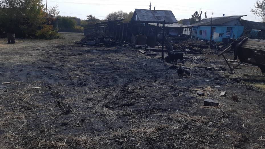 В Поворинском районе огонь уничтожил сарай и 5 т сена