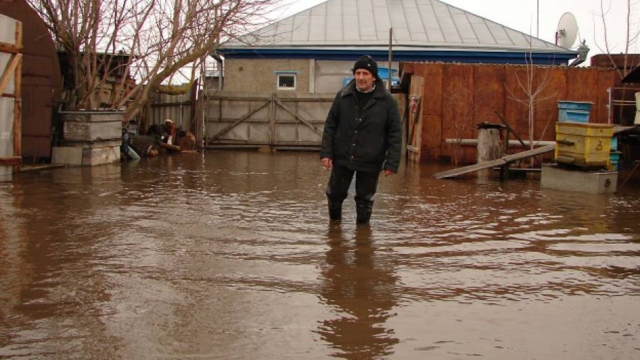 Талые воды с полей подтопили несколько домов на хуторе Краснодар Богучарского района