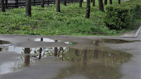 Дождь и небольшое похолодание спрогнозировали в Воронеже