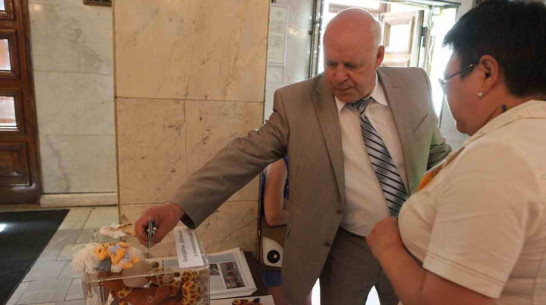 Благотворительный марафон «Дети – детям!» собрал в Воронеже более 320 тыс рублей