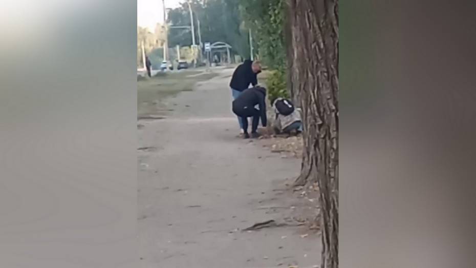 Раскопки «клада» на Ростовской улице сняли на видео в Воронеже