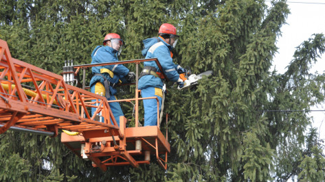 В Воронеже на 9 часов перекроют улицу рядом с «Орленком»