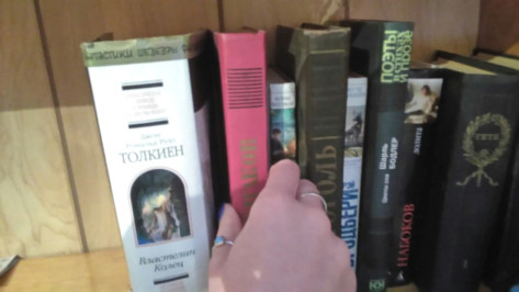 Воронежцам предложили подарить книги Никитинской библиотеке