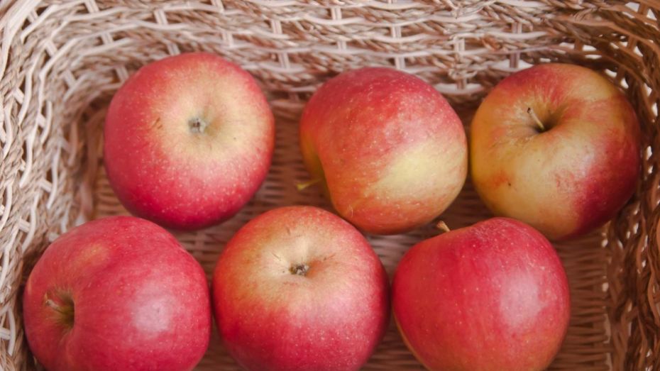 Россельхознадзор нашел на воронежском рынке 4 т запрещенных яблок 