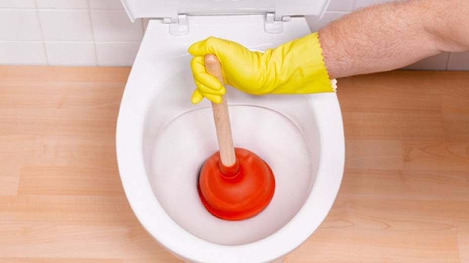 Воронежцы кидают в унитазы гнилые яблоки, пластиковые бутылки и тряпки 