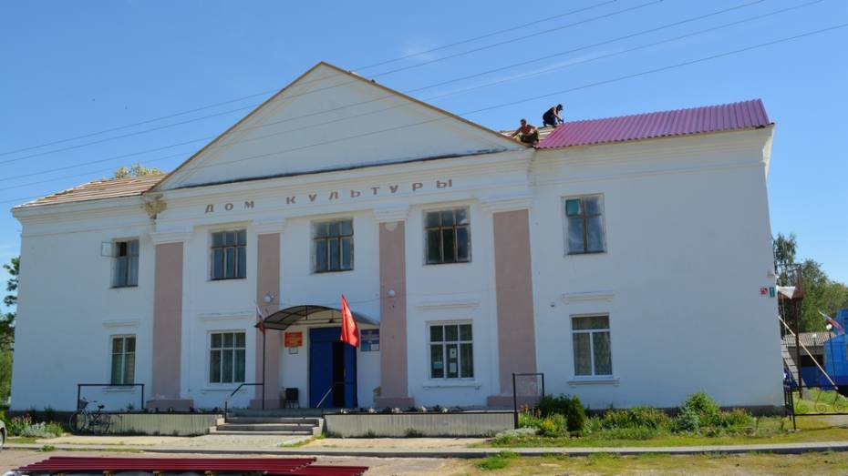 Протекающую крышу Дома культуры петропавловского села Новобогородицкое отремонтируют