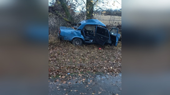 В Воронежской области ВАЗ с 16-летним водителем врезался в дерево: погиб 15-летний пассажир