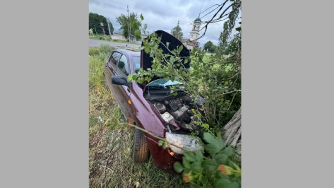 В Борисоглебске «Лада Гранта» врезалась в дерево: травмы получили 2 несовершеннолетние девушки