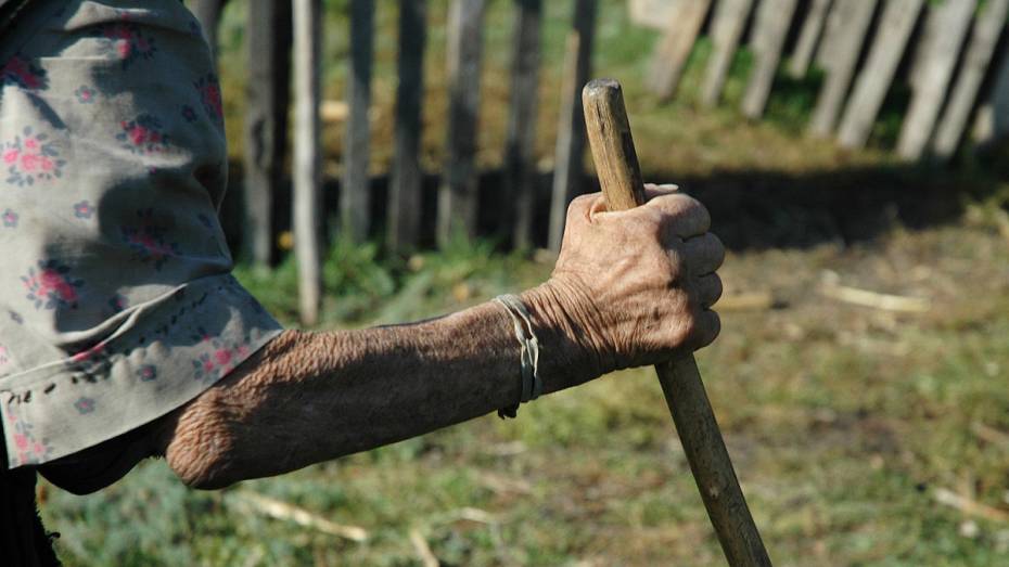 Петицию против повышения пенсионного возраста подписали более 1 млн россиян