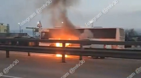 Очевидцы сняли на видео горящий автомобиль на трассе под Воронежем