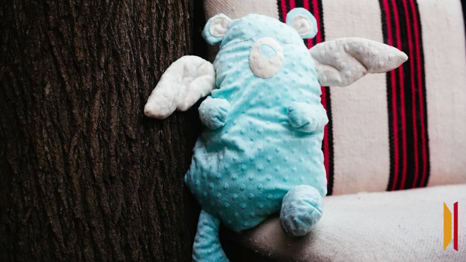 Посольство Греции готово предоставить площадку для передачи девочки из Воронежа, похищенной бабушкой