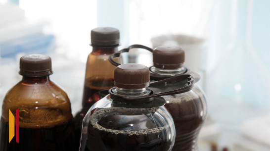 Воронежские ученые разработали инновационный рецепт кваса с витаминами