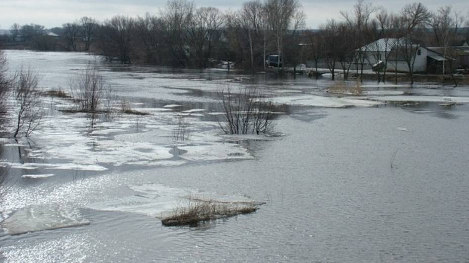 МЧС: Ситуация с подтоплением талыми водами в Воронежской области стабилизируется к 5 апреля